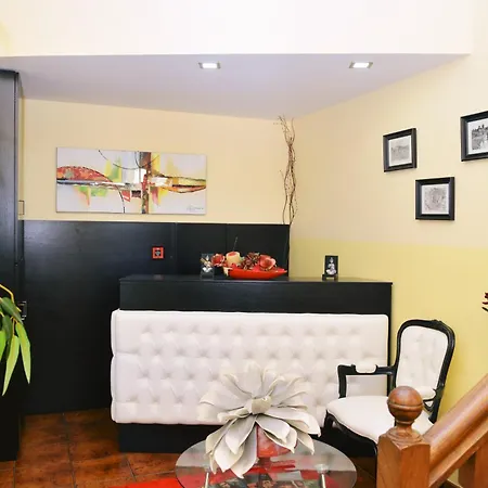 Ze Luis تشافيس