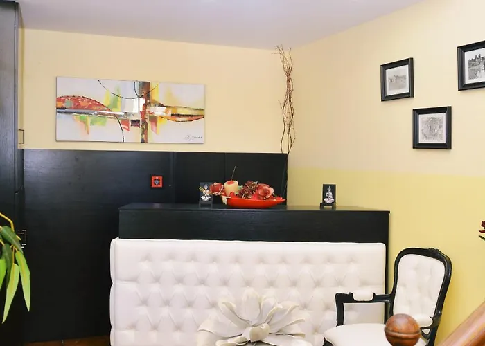 Ze Luis تشافيس